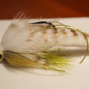 bass bug, streamer, fly fishing, bass fly, pike fly, fly fishing fly, flies, 2/0, flies, bass flies