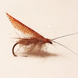 caddis fly, dry fly, fly fishing, fishing, trout, rivers, lakes