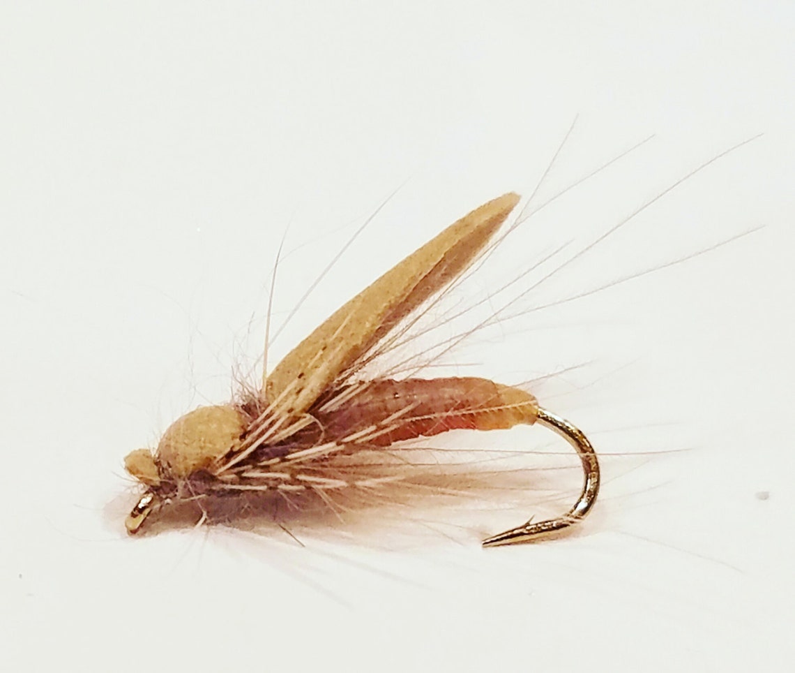 Foam winged dry fly dry fly insects bugs trout flies fly Etsy