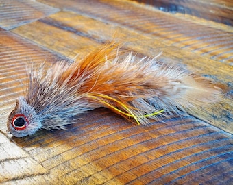 Può includere: Un'esca da pesca a mosca marrone e grigia con un occhio rosso e nero. L'esca ha una lunga coda di piume marroni e bianche.
