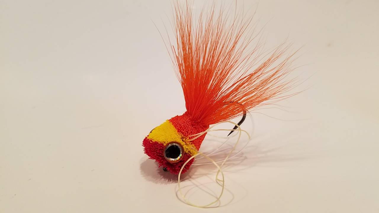 3,1 mille Images et Photos de Fishing lure popper Libres de Droits