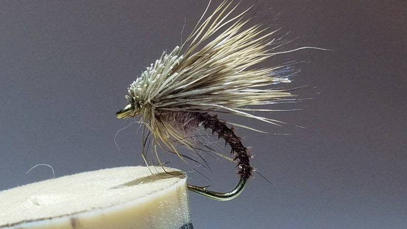 May include: A brown and white fly fishing lure with a brown body and a white and brown feather tail.