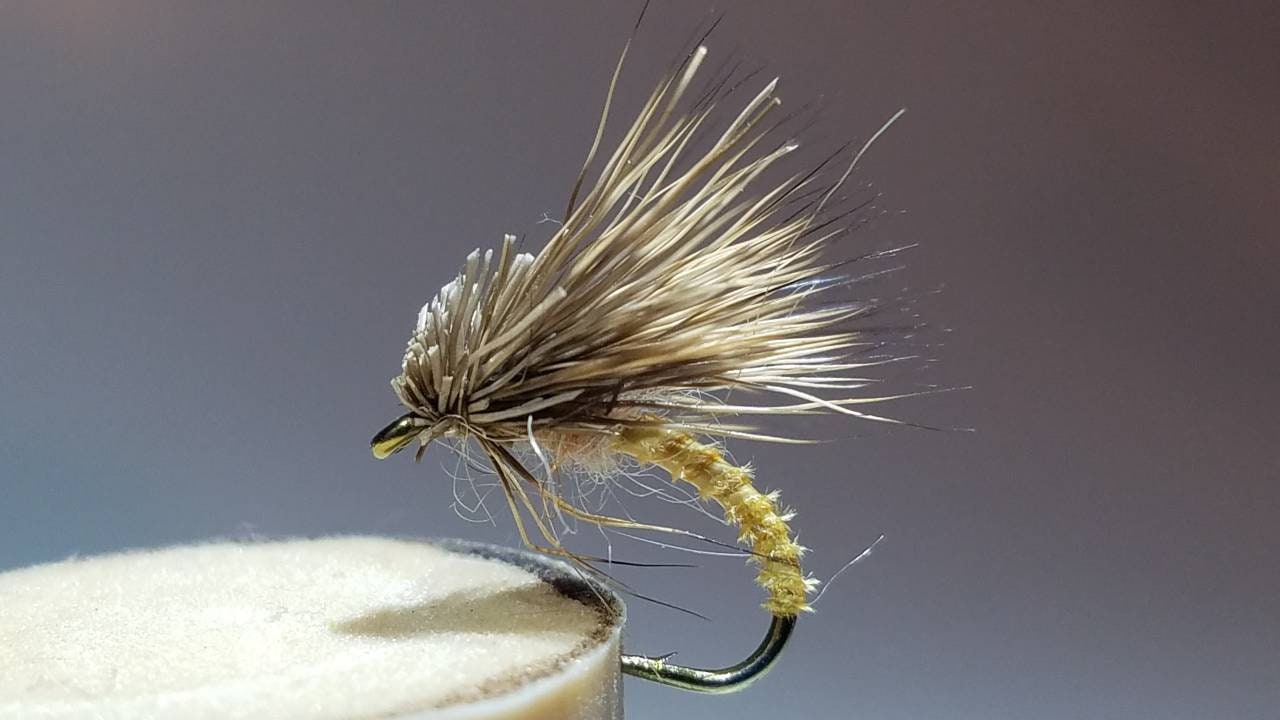Emerger, Biot Emerger, Flies, Trout Flies, Fly Fishing Flies, Fishing, Bugs, Mayflies, Fishing