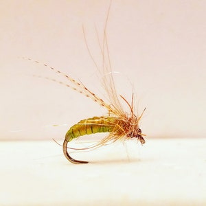 caddis puppa, fly fishing, flies, caddis, pupa, trout, trout flies, flies for trout, fly fishing flies, flies for trout, fly tying