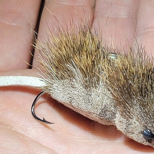 Puede incluir: Un señuelo de pesca con mosca de ratón realista de color marrón y blanco con una cola larga y un anzuelo.