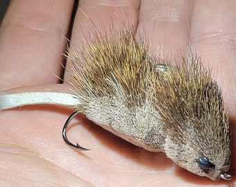 May include: A realistic brown and white mouse fly fishing lure with a long tail and a hook.