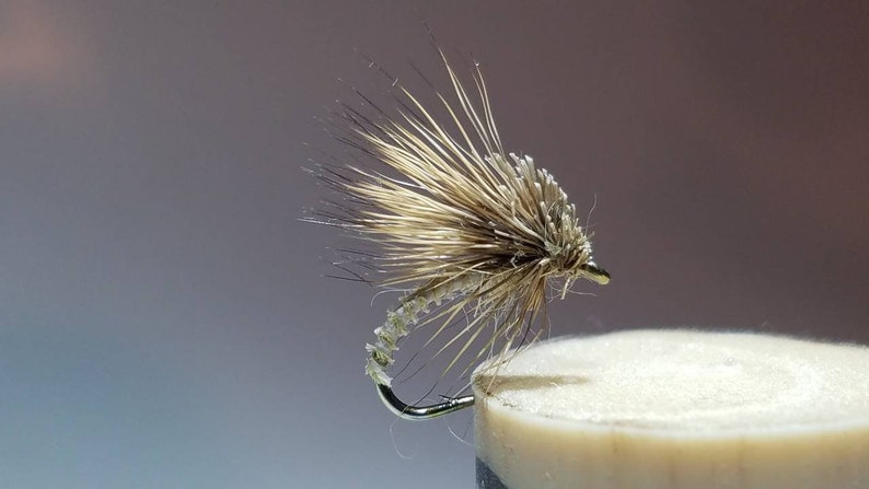 May include: A brown and white fly fishing lure with a silver hook.