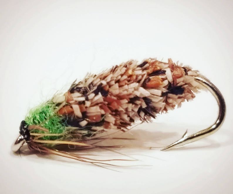 caddis fly fishing flies euro nymphing insects fly fishing trout flies case caddis trout nymph flies