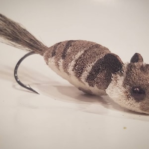 Ardilla bebé, mosca de pelo de venado, moscas, moscas de pelo de venado, chinches de lubina, lubina, lobina negra, lobina negra, moscas de pelo de venado, moscas de aguas cálidas, peces