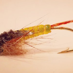 golden stonefly nymph, fishing, fly fishing, flies, bugs, insects, trout, rivers, fly fishing flies, trout flies, flies for trout