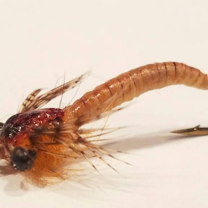 larva nymph, fly fishing flies, flies, trout, bass, fishing, fly fishing, trout flies, bass flies, carp flies, larva, nymph, nymph flies