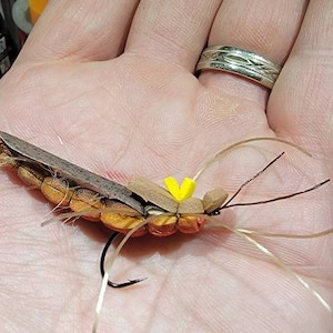 カワゲラ、トラウトフライ、フライ、フライフィッシングフライ、虫、サーモンフライ、フォームフライ、昆虫、トラウト、トラウトオンザフライ、ドライフライ、フライフィッシング