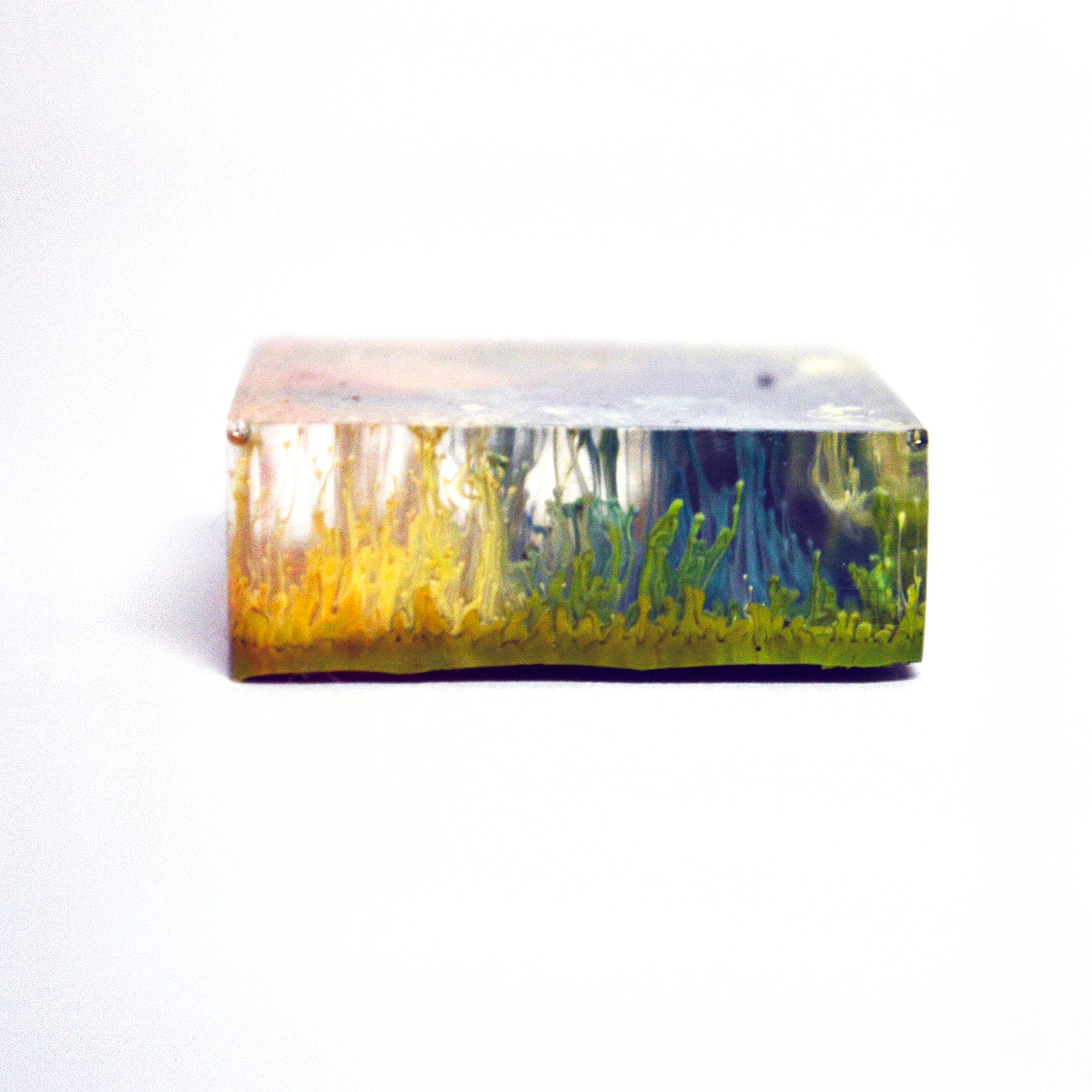 Resin Set of 4 Assorted Shaped & Colors Etsy