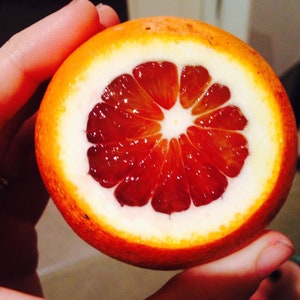 May include: A close-up of a halved blood orange, revealing its vibrant red flesh and juicy segments. The orange is held in a hand, showcasing its bright orange rind.