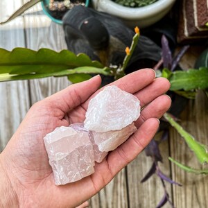 Pode incluir: Uma mão segurando três cristais de quartzo rosa. Os cristais são ásperos e têm um aspecto natural e não polido.