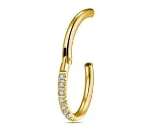 Gold, Sparkling CZ,  Pave Hoop, Hinged Segment Ring 16g/1.2mm, Ear, Rook, Daith, Tragus, Nose, Eyebrow, Lip, 3 Sizes