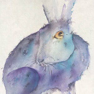 Blue Hare
