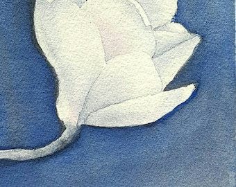 White Magnolia Blank Greeting Card