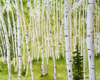 Aspens 5x7 matted print