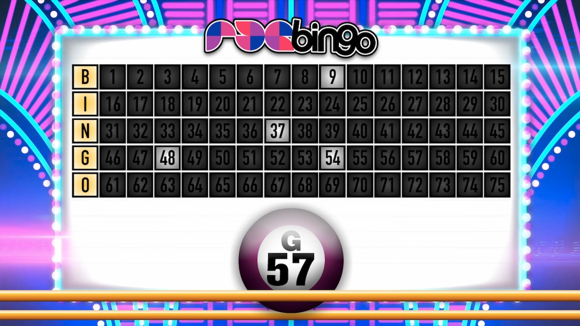 Pdgbingo Bingo Screen Share Zoom Conference Download Party Game for MAC or PC Game Night