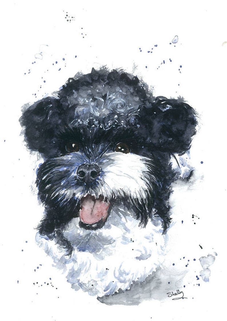 Mal Shi Puppy Dog Maltese Shih Tzu Print Watercolour Painting Etsy