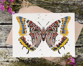 Tarjeta de flores silvestres plantables: Foxy Emperor