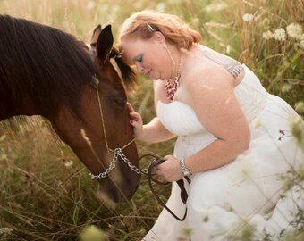 Animal Communication Readings (1 hour)