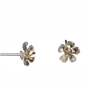 Cherry Blossom Stud Earrings In Sterling Silver And Gold Plate Details