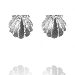 May include: A pair of silver shell-shaped earrings. The earrings are small and delicate, with a textured surface.