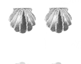 Può includere: Un paio di orecchini in argento a forma di conchiglia. Gli orecchini sono piccoli e delicati, con una superficie testurizzata.