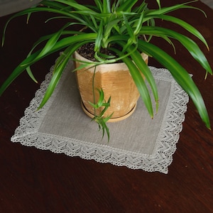 May include: A green plant in a terracotta pot sits on a square, light gray linen placemat with a white lace border. The placemat is on a dark brown wooden table.