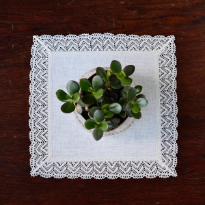 May include: A small potted jade plant with dark green leaves sits on a white linen square with a delicate lace border. The plant is in a clear glass pot, and the background is a dark wood surface.