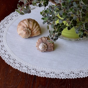 Könnte beinhalten: Eine weiße Häkeldeckchen mit einem gewellten Rand liegt auf einem Holztisch. Zwei Muscheln und eine Topfpflanze mit grünen Blättern sind auf dem Deckchen platziert.