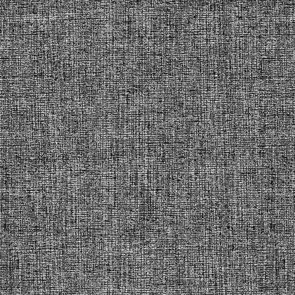 Linen Texture - Black and White - Timeless Treasures