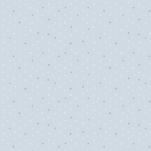 May include: A light blue background with a repeating pattern of small black and white plus signs.