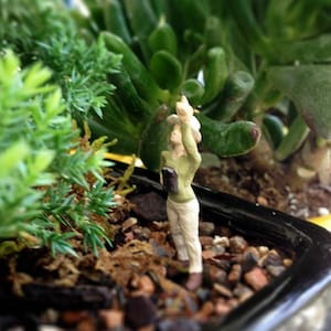 Mary&#39;s Discovery