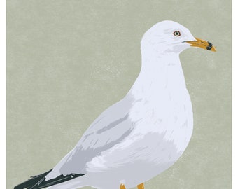 Ring Billed Gull - 5x7" Digital Print