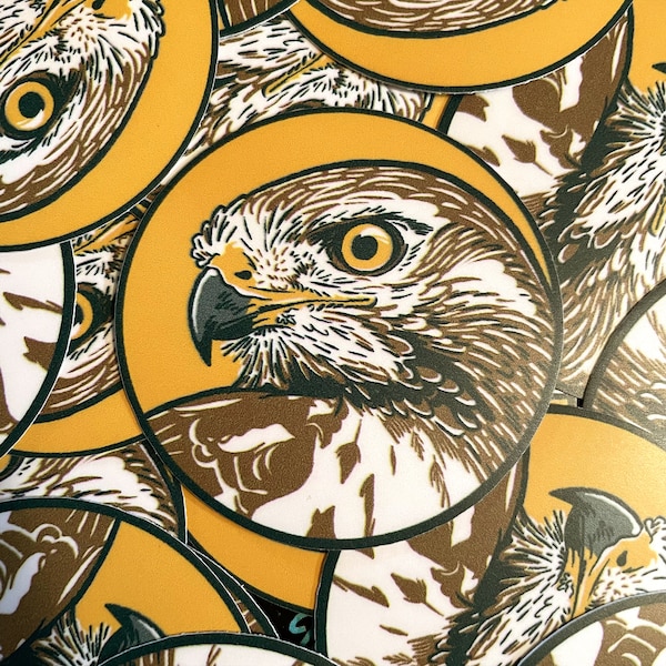 Red Tailed Hawk Sticker