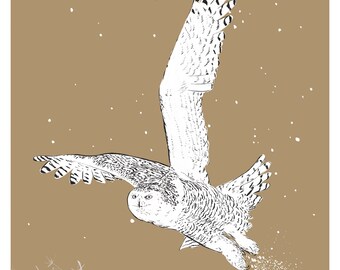 Snowy Owl - 8x10" Print
