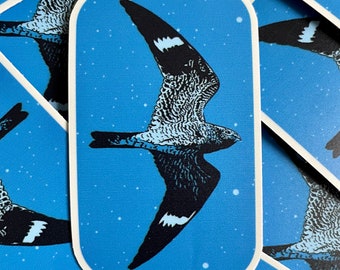 Common Nighthawk Sticker