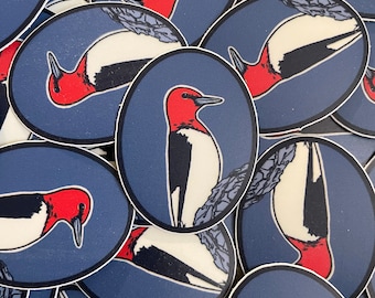 Red-headed Woodpecker Sticker