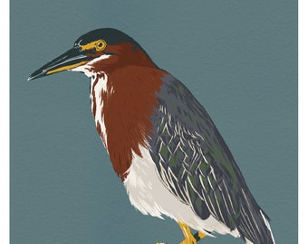 Green Heron - 4x6" Print