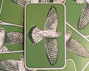 American Kestrel Sticker