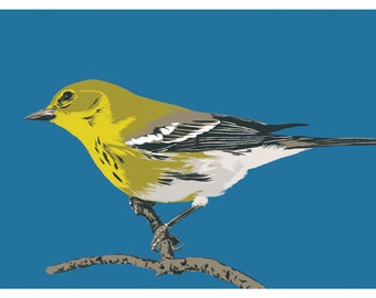 Pine Warbler - 4x6" Print