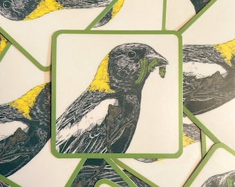 Bobolink Sticker