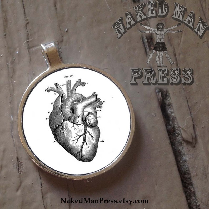 Anatomical Heart, FREE ball chain included, Round Bezel Pendant image 1
