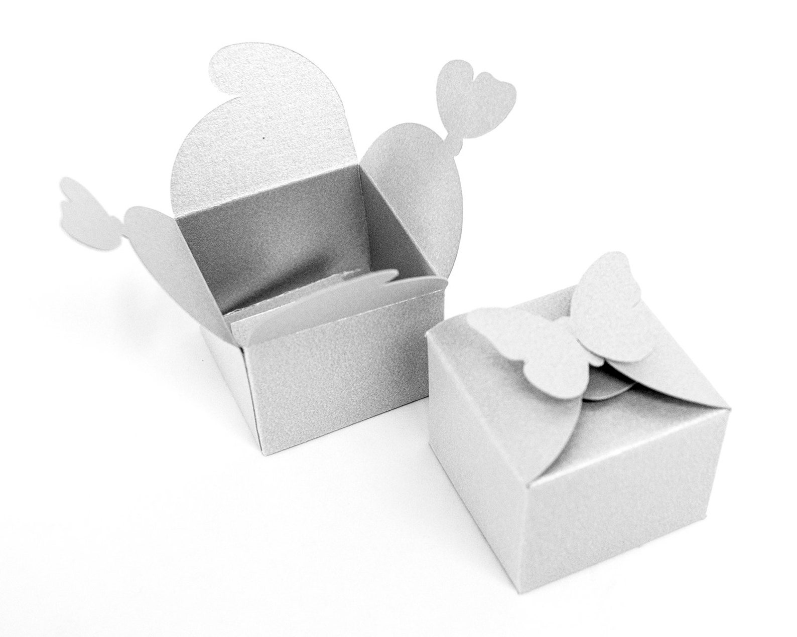 BUTTERFLY BOX Favor Box Wedding Favor Jewelry Packaging Bridal Boxes
