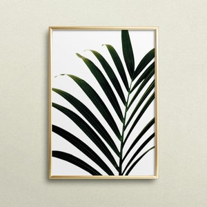 Póster, impresión, impresión artística, impresión digital, diseño escandinavo: Hoja de palma verde - palmera, playa, playa, verano, sol, vacaciones, fiesta