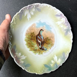 Antique Bavarian Porcelain Plate Game Bird Quail Cabinet Wall Plate      GPLA1