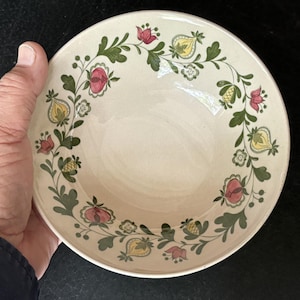 May include: Cream-colored ceramic bowl with a floral design. The rim is decorated with a garland of green leaves, red and pink flowers, and yellow fruit-like shapes. The bowl is held by a hand.